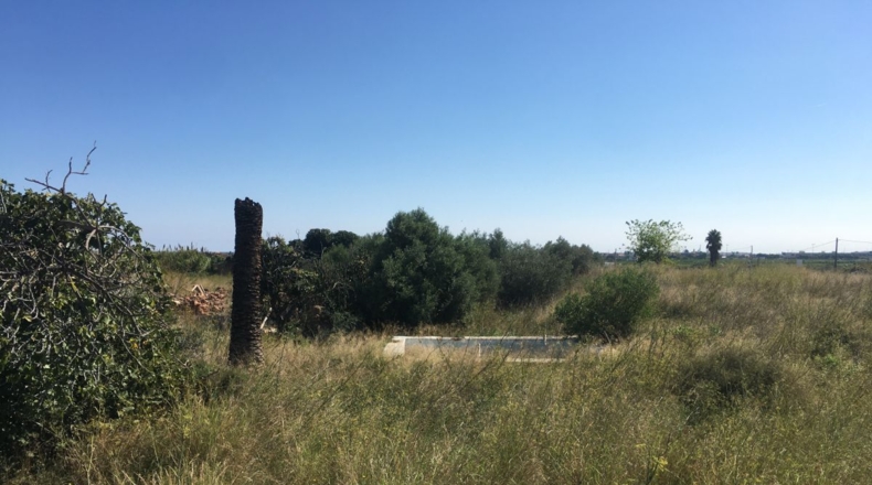 Castellón - Castelló de la Plana - 7662m2