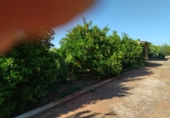 Non-developable land for sale in Onda ref: TR45508 photo