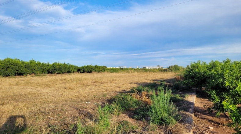 Castellón - Barri Pino-Forn - 6514m2