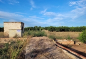 Terreny no urbanitzable en venda a la España, les Alqueries, ref.: TR45716 foto