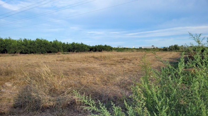 Castellón - Barri Pino-Forn - 6514m2