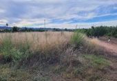 Terreny no urbanitzable en venda a les Alqueries ref.: TR45715 foto