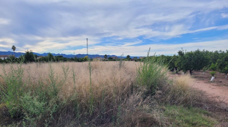 Castellón - Barri Pino-Forn - 1864m2