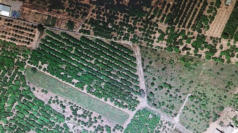 Castellón - Barri Pino-Forn - 1864m2