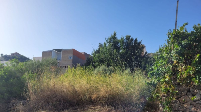 Castellón - Borriol - 13383m2