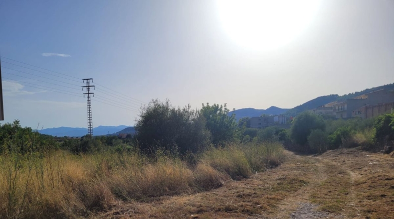 Castellón - Borriol - 13383m2