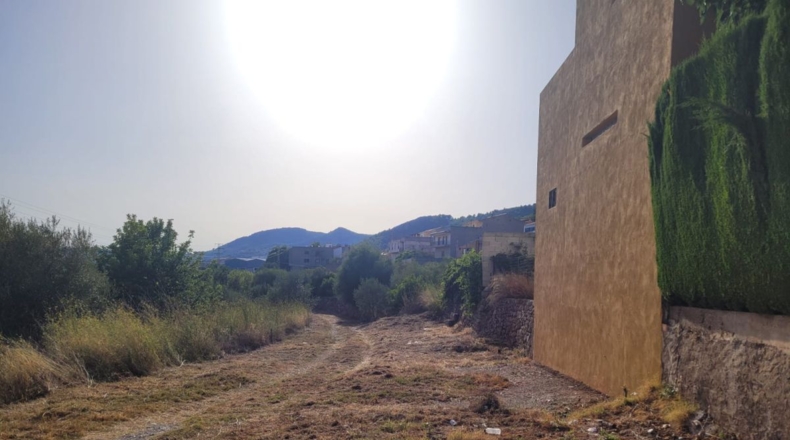 Castellón - Borriol - 13383m2
