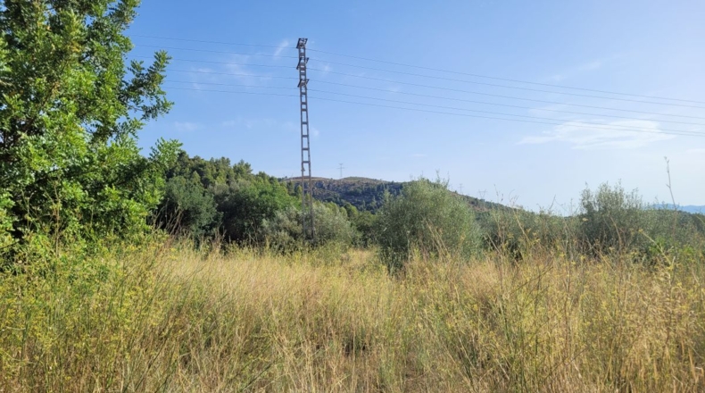 Castellón - Borriol - 13383m2