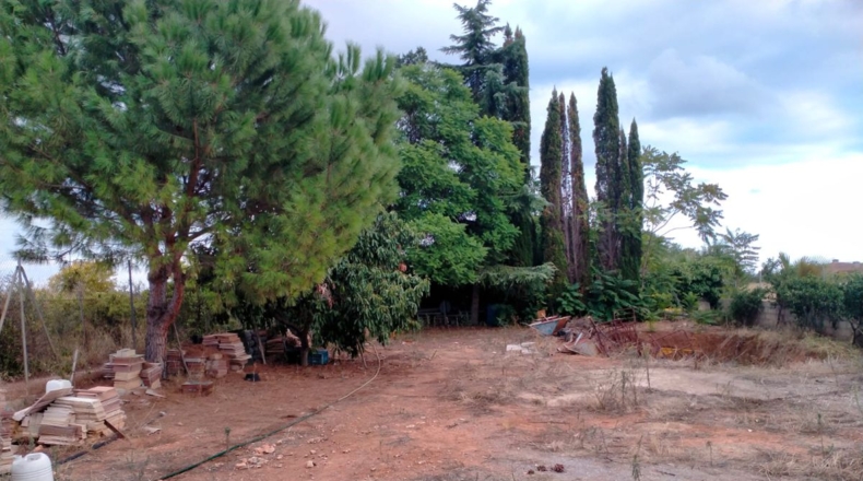 Castellón - Almassora - 850m2