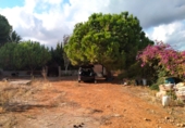Terreno no urbanizable en venta en Almassora ref: TR66442 foto