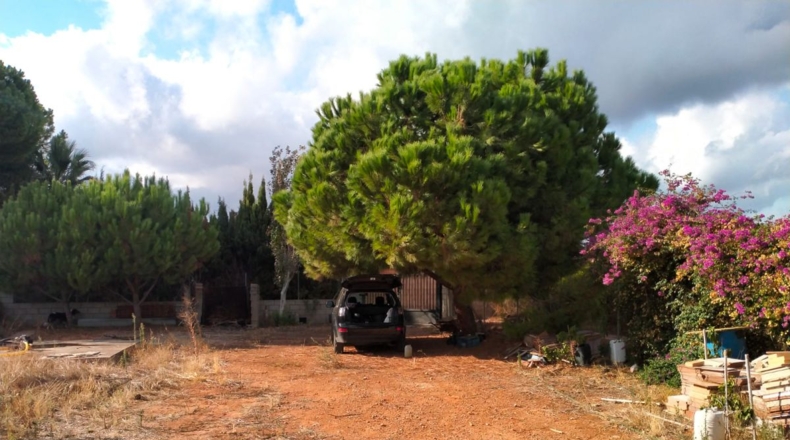 Castellón - Almassora - 850m2