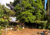 Terreno no urbanizable en venta en Almassora ref: TR66442 foto