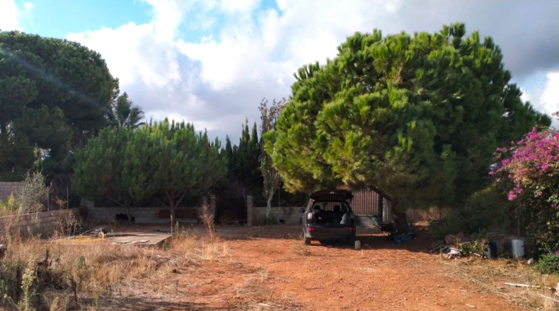Castellón - Almassora - 850m2