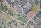 Terreny no urbanitzable en venda a Vila-real ref.: TR66441 foto