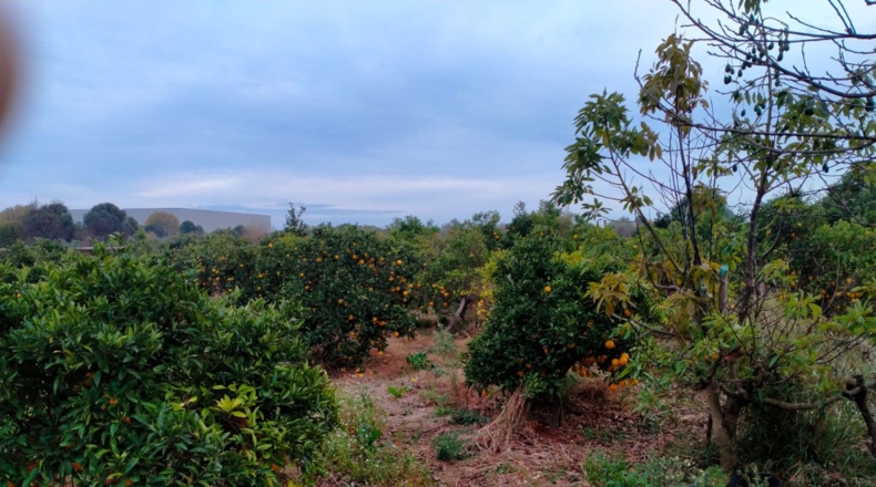 Castellón - Vila-real - 4221m2