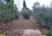 Terreny no urbanitzable en venda a Vila-real ref.: TR66441 foto