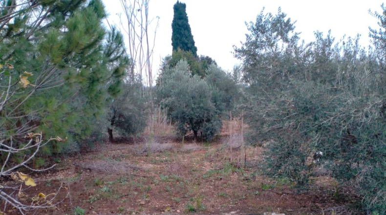 Castellón - Vila-real - 4221m2