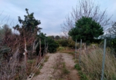 Terreny no urbanitzable en venda a Vila-real ref.: TR66441 foto