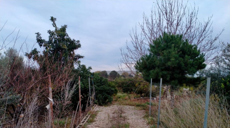Castellón - Vila-real - 4221m2