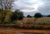 Terreny no urbanitzable en venda a Vila-real ref.: TR110103 foto