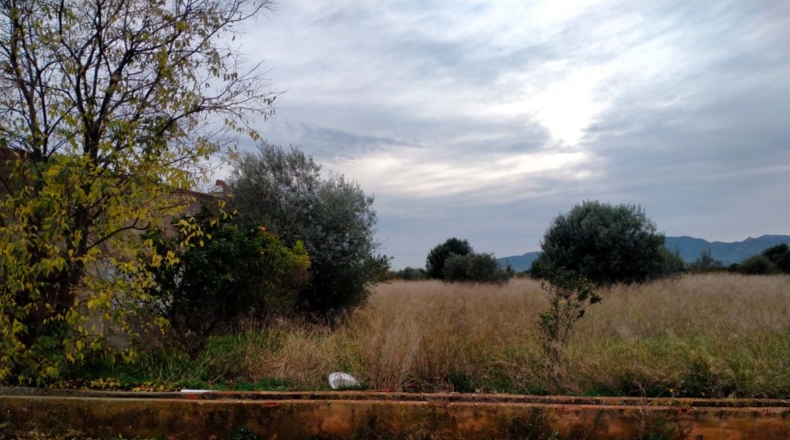 Castellón - Vila-real - 4935m2