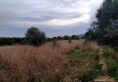 Terreny no urbanitzable en venda a Vila-real ref.: TR110103 foto
