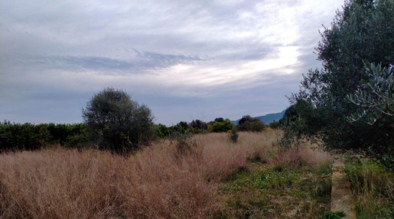 Castellón - Vila-real - 4935m2