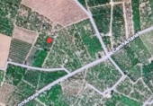 Terreny no urbanitzable en venda a Vila-real ref.: TR66715 foto