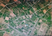 Terreny no urbanitzable en venda a Vila-real ref.: TR66715 foto