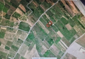 Non-developable land for sale on España, Vila-real, ref: TR72855 photo