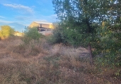 Sòl urbà en venda a Vila-real ref.: TR99274 foto