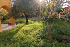 Foto 10