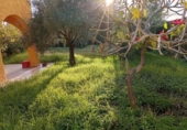Xalet independent amb terreny en venda a Vila-real ref.: TR372977 foto