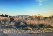Land suitable for development for sale on España, Torreblanca, ref: TR380923 photo