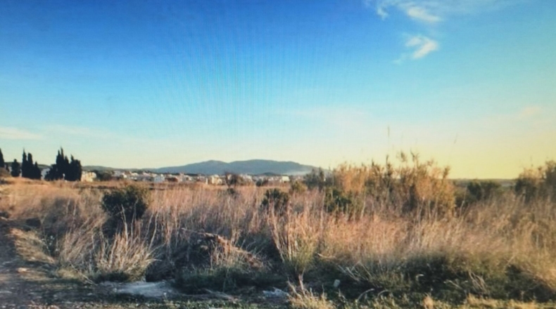 Castellón - Torreblanca - 10635m2