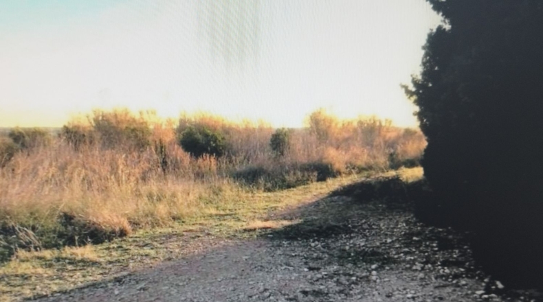 Castellón - Torreblanca - 10635m2