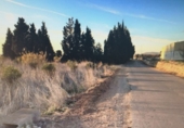 Land suitable for development for sale on España, Torreblanca, ref: TR380923 photo