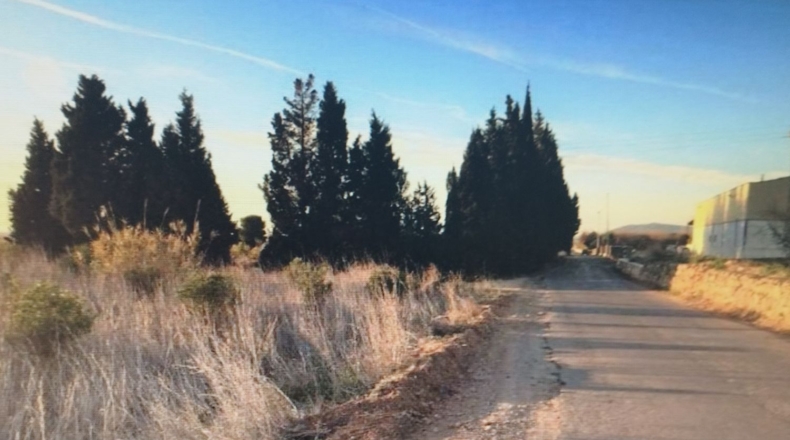 Castellón - Torreblanca - 10635m2