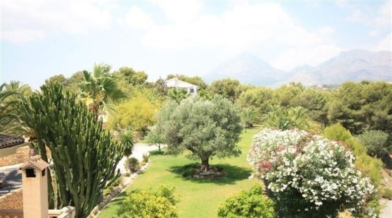 Alicante - Alfaz del Pi - 16000m2