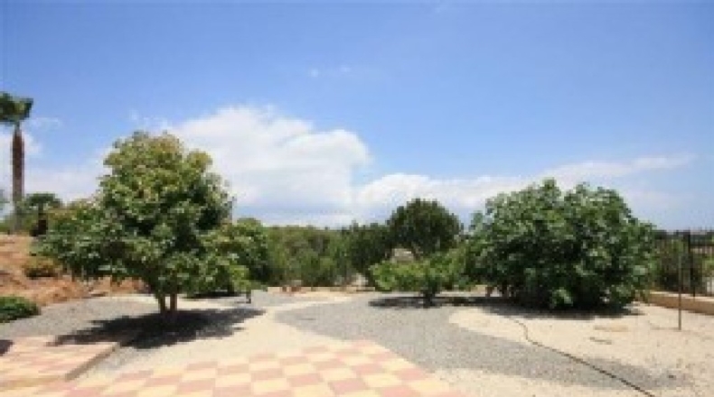 Alicante - Alfaz del Pi - 16000m2