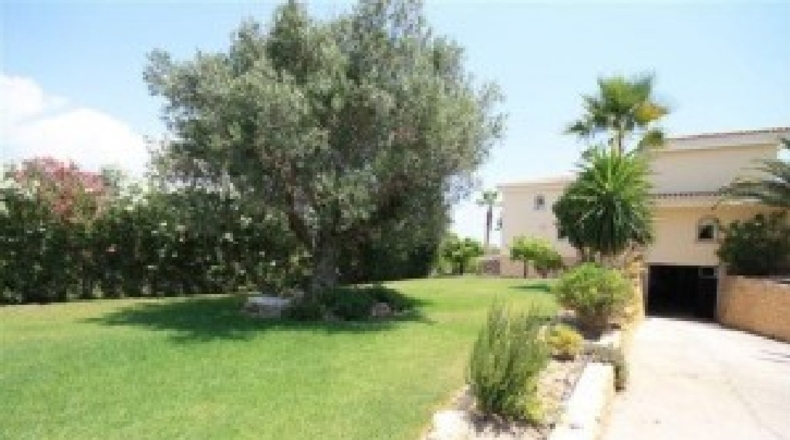 Alicante - Alfaz del Pi - 16000m2