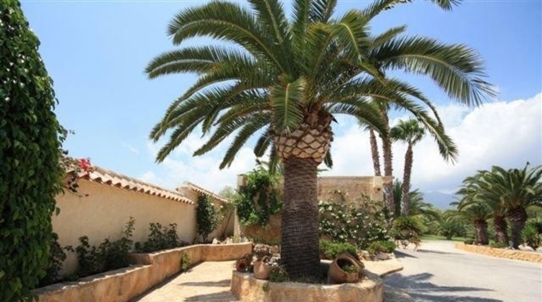 Alicante - Alfaz del Pi - 16000m2