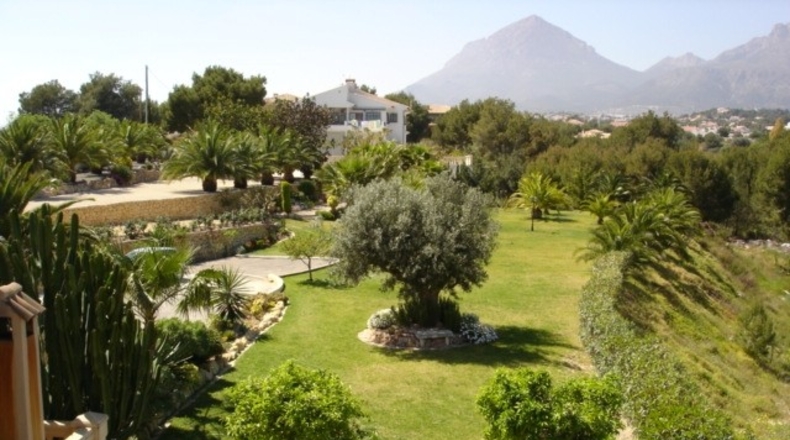 Alicante - Alfaz del Pi - 16000m2