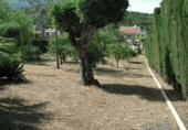 Vil·la amb terreny en venda a la Nucia ref.: TR31272 foto