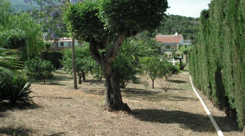 Alicante - La Nucía - 350m2
