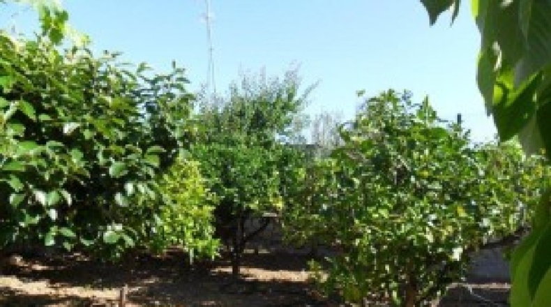 Alicante - La Nucía - 1500m2