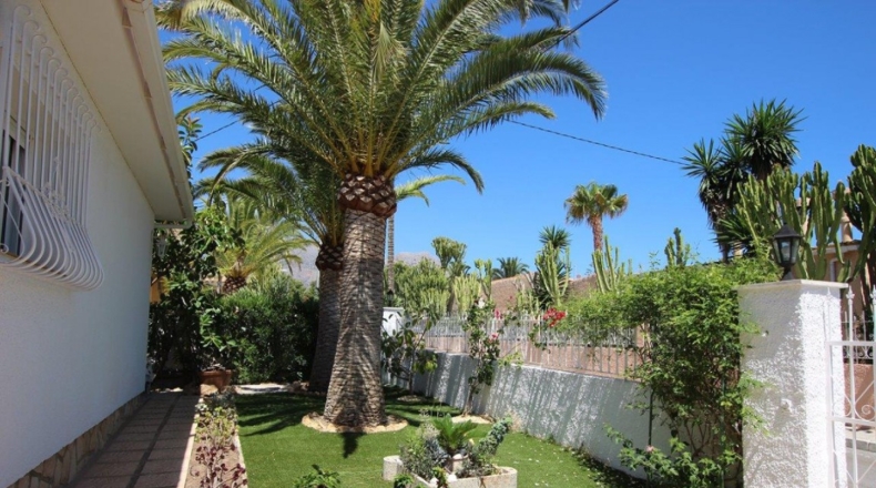 Alicante - La Nucía - 1200m2