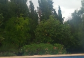 Vil·la amb terreny en venda a Alacant ref.: TR35126 foto