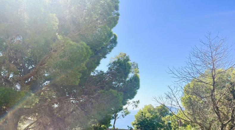 Alicante - Altea - 1310m2