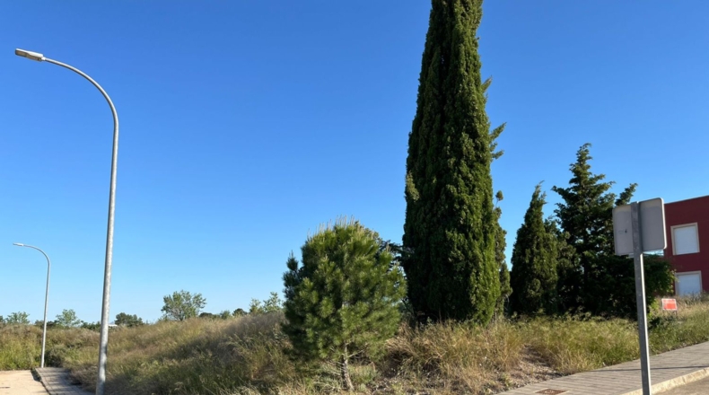Albacete - Каудете - 423m2